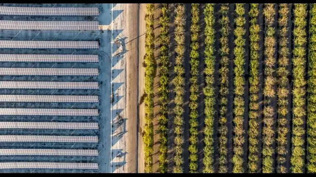 Decreto Agrivoltaico innovativo: partono i nuovi incentivi