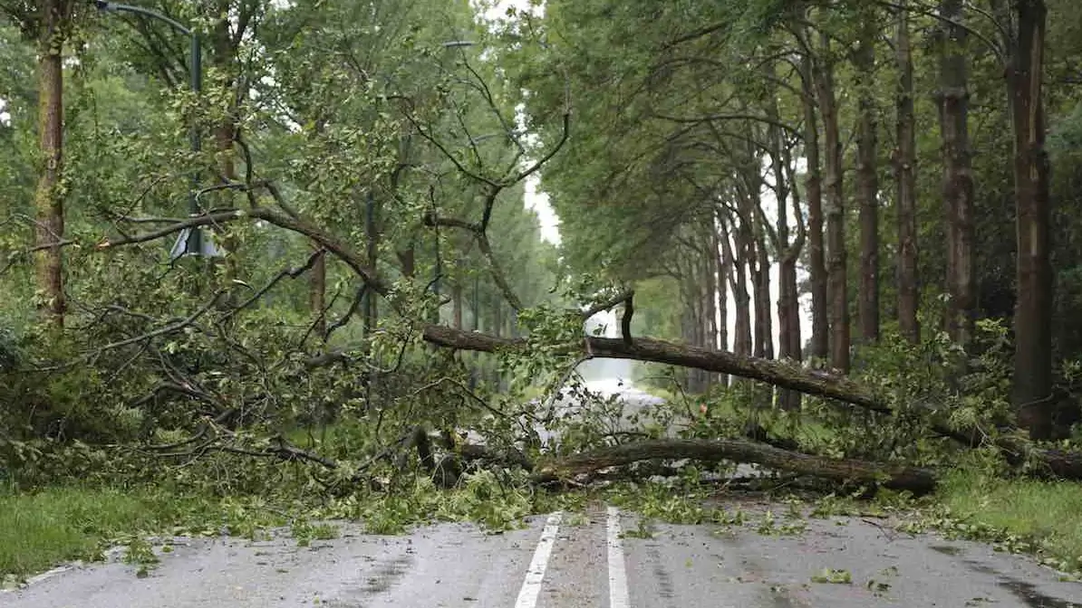 Con il nuovo Patto di stabilità a rischio gli investimenti green